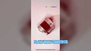 Μίζα GAM878176